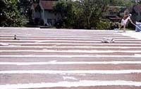 Commercial Roofing, Roof Repair, Roof Replacement, Broward, FL, Reroofing, Rubber Roofing, Flat Roof Leak Repair, Commercial Roofing Contractors, Paint Metal Roofing, Roof Coating, Roof Sealant, Commercial Flat Roof, Commercial Roofers, Roof Installation, Industrial Roofing Service, Waterproof Roof